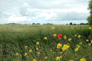 Ostfriesland