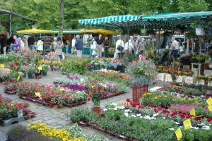 Der Wochenmarkt in Norden