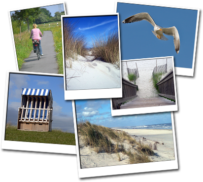/fileadmin/urlaub_im_norden/Bilder/key_visual_home.png Fotocollage zum Thema Urlaub im Norden